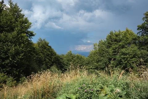 Dramatic summer view of a thunderstorm sky above a mountain meadow and beech  Stock Photos