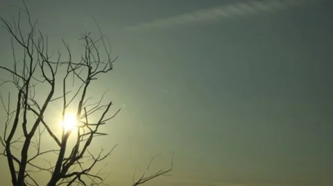 Dramatic Sun Passing Through Tree (1/2) DSLR Time Lapse Vídeo Stock 8923996