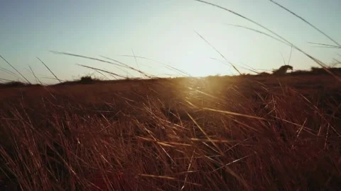 Dramatic Sun Rays And Clouds As Looping Background Stock Footage 237590358