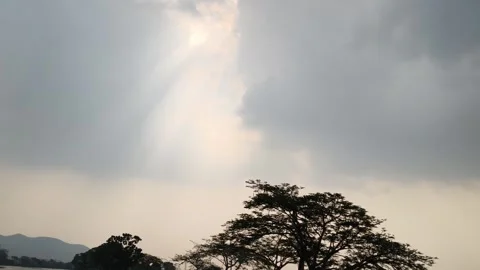 Dramatic sun rays breaking through clouds over tree silhouette background Stock Footage 347886764