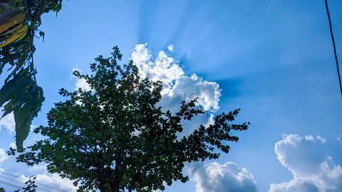 Dramatic sunlight through clouds behind dark tree outline Stock Photos