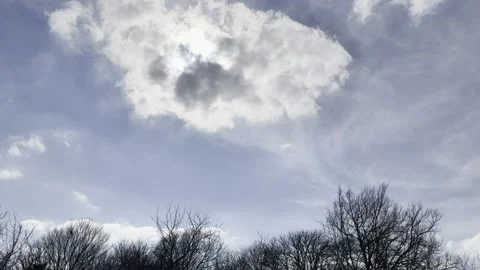 Dramatic Sunlit Clouds Above Bare Tree Line Video stock 344883613