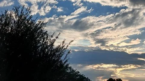 Dramatic Sunlit Clouds and Dark Tree Foliage at Dusk Stock Photos