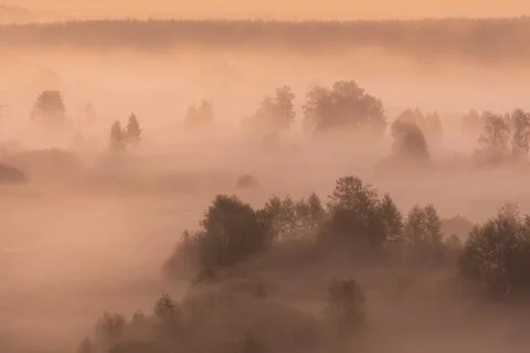 Dramatic sunrise and cloudy misty dark forests and meadows Stock Photos