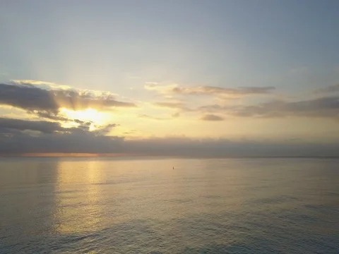 DRAMATIC SUNRISE APPROACH AT SEA WITH DOLPHIN Stock Footage