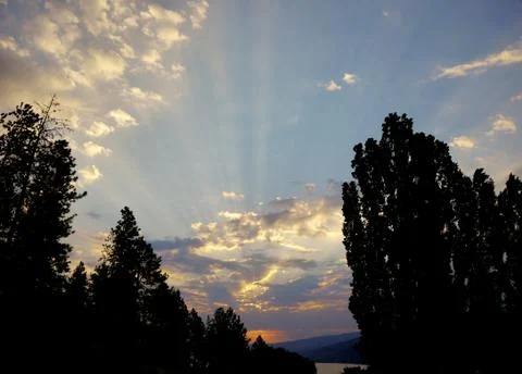 Dramatic sunrise behind scattered clouds, silhoetted trees in the foreground Stock Photos