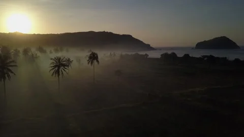 Dramatic sunrise fog shadows silhouette palm trees on Lombok beach 스톡 동영상 217688891