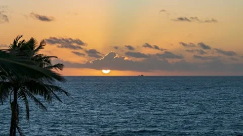 Dramatic Sunrise Time lapse over ocean from Kauai Hawaii with palm tree Video stock 153505498