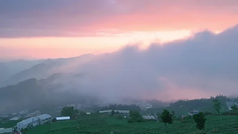 Dramatic Sunset and Cloud Sea over Shizhao Tea Fields in Alishan, Taiwan Stock Footage 327466798
