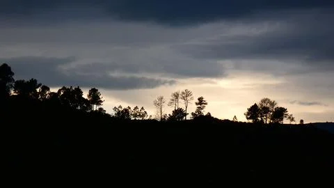 Dramatic sunset behind rain clouds and pine trees. Winter afternoon. 4k P1120619 Stock Photos