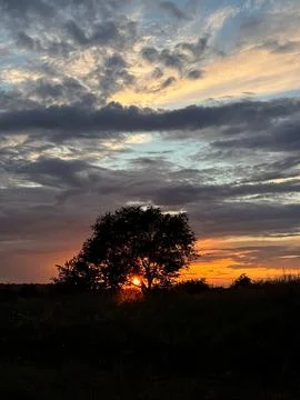 Dramatic sunset behind a solitary tree silhouette with sun rays and layered.. Stock-Fotos