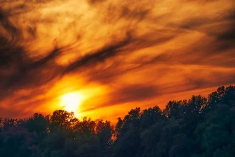 Dramatic sunset - bright red sky with clouds and the silhouette of a forest i Stock Photos