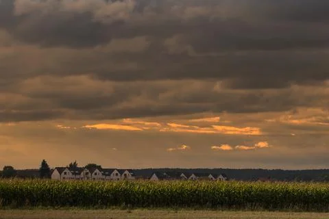 Dramatic sunset clouds over a rural village and cornfield Fotos Stock