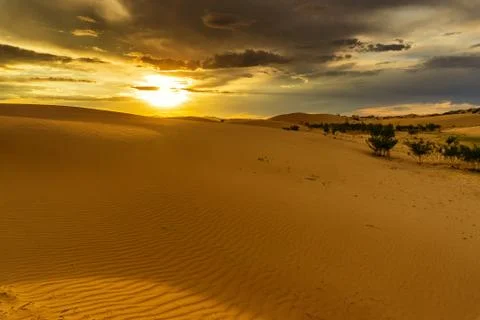 Dramatic sunset in desert Foto stock