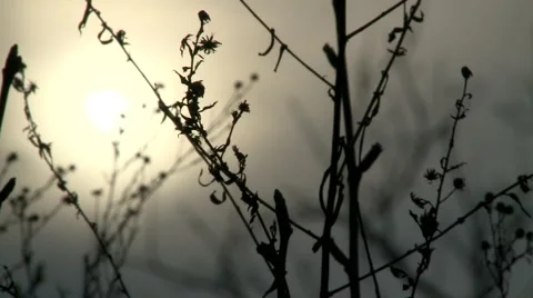 Dramatic sunset Stock Footage 2850537