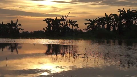 Dramatic sunset Stock Footage 330210737