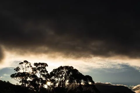 Dramatic sunset with golden light dark clouds and eucalyptus trees 스톡 사진