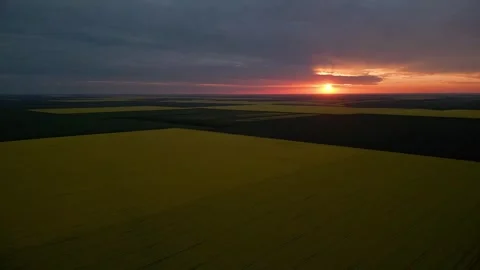 Dramatic Sunset Landing in Rape Field Vidéo 289670301