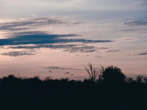 Dramatic sunset landscape with scattered clouds and open field. Moody twili.. Foto stock