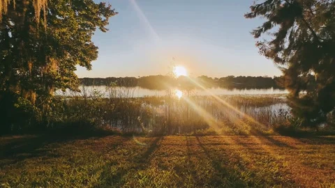 Dramatic Sunset Light Through Trees Overlooking a Lake Stock Footage 295530063