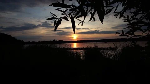Dramatic sunset over Berlin's Lake Wannsee framed by silhouettes of branches Stock Footage 312839767