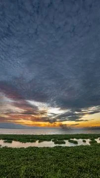 Dramatic Sunset Over Calm Water with Lush Greenery Stock Photos