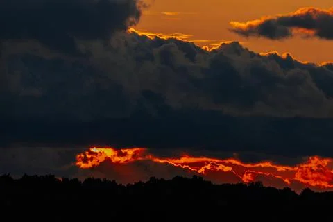 Dramatic sunset over dark silhouette of trees with vibrant orange and red h.. Stock Photos