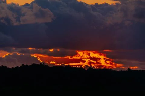 Dramatic sunset over a dark silhouette of trees with vibrant orange and red.. Stock Photos