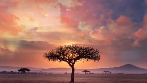 Dramatic sunset over the desert in Africa time lapse Stock Footage 134292817