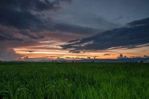 Dramatic sunset over a field Stock Photos