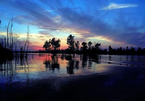 Dramatic sunset over a flooded wetland with silhouettes of trees reflecting.. 写真素材