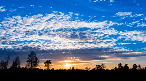 Dramatic sunset over a forest glade Stock Footage 37058637
