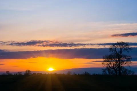 Dramatic sunset over a forest silhouette Stock Photos