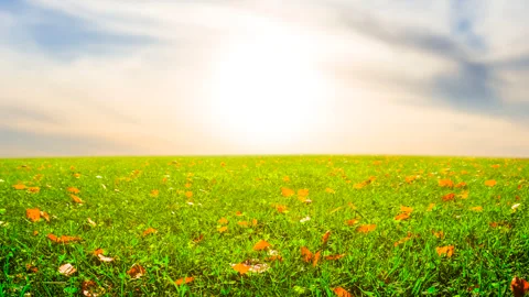 Dramatic sunset over a green field Vídeos de archivo 320618147