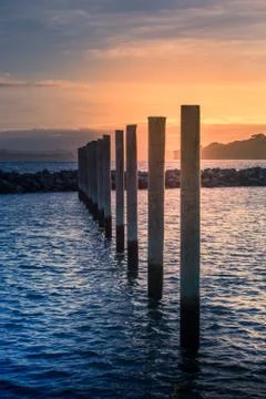 Dramatic sunset over Gulf Harbour marine. Mooring poles lined up towards horizon Stock Photos
