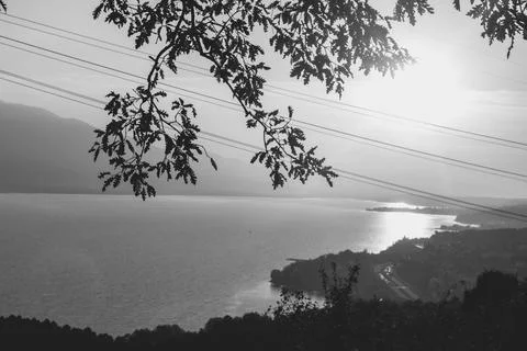 A dramatic sunset over a lake with silhouetted branches in black and white. Foto stock