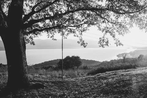 Dramatic sunset over a lake with a swing hanging from a large tree. Stock Photos