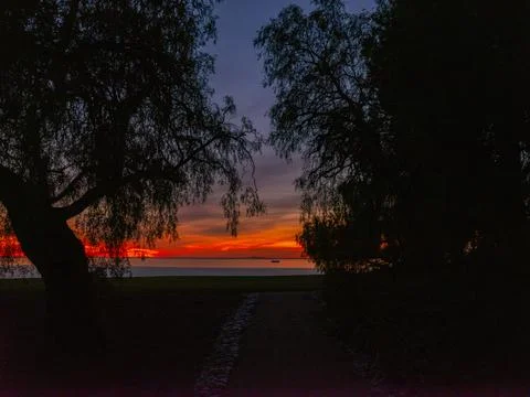 Dramatic sunset over the ocean viewed through silhouetted trees Photos