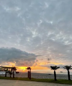 Dramatic Sunset Over a Palm-Lined Beach Stock-Fotos