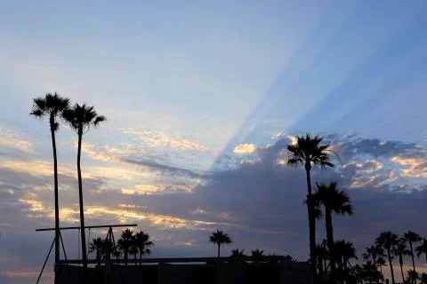 A dramatic sunset over palm trees in California Stock Photos