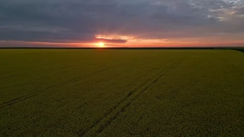 Dramatic Sunset Over Rape Field Reveal Vidéo 289670212