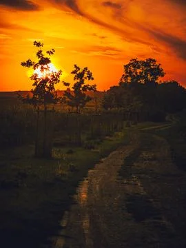 Dramatic sunset over rural path and trees near Rajhrad, Czech Republic Stock Photos