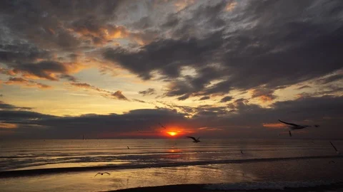 Dramatic sunset over sea, seascape Stock Footage 103360069