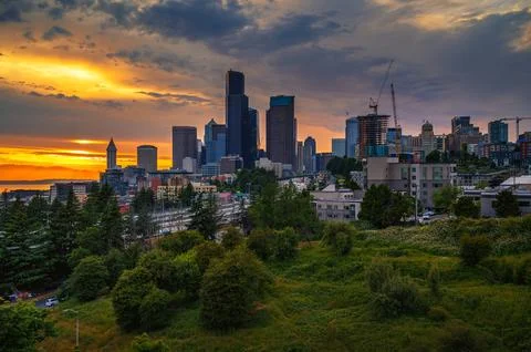Dramatic sunset over Seattle skyline with visible greenery in the foreground Stock Photos