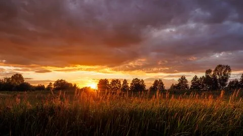 Dramatic sunset over a summer grass field with trees on the horizon under a.. Stock Photos