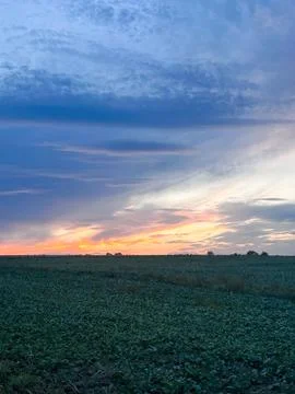 Dramatic Sunset Over a Vast Agricultural Field Photos