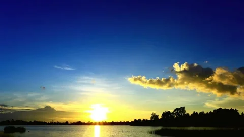 Dramatic Sunset over Water with Silhouetted Trees 動画素材 310816807
