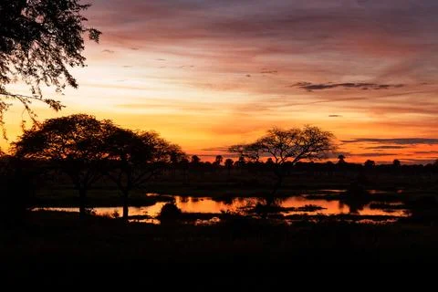 Dramatic sunset over wetland floodplain in Murchison Falls National Park, U.. Фото