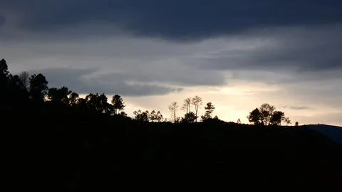 Dramatic sunset, pale light behind clouds and pine trees. 4k P1120618 Stock Photos
