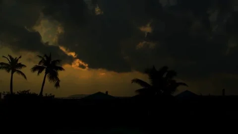 Dramatic sunset palm trees create moody tropical landscape Stock Footage 329545386